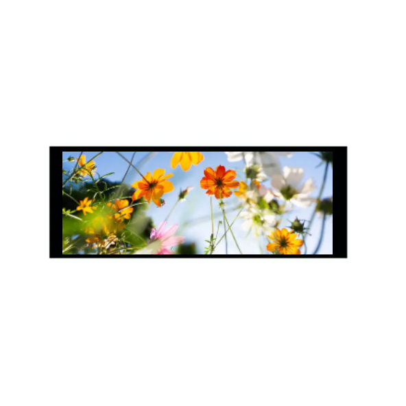 6.86 pulgada 480 × 1280 IPS TFT module